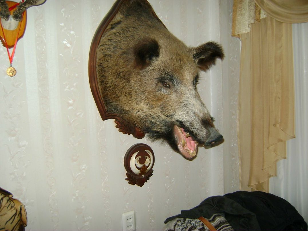 Егор Буров Doctor | Новосибирск