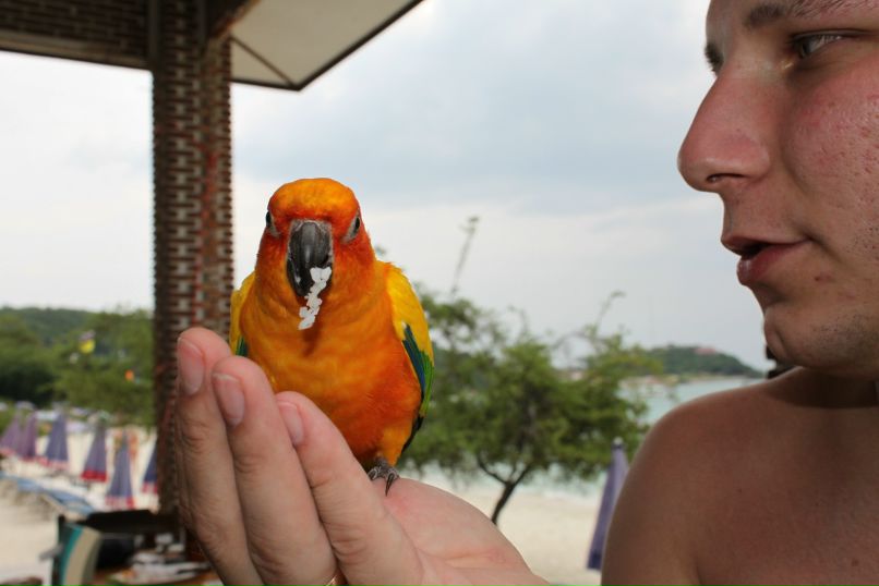 Виктор Прощенко | Калининград