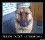 Фотография Лёша Капслуков