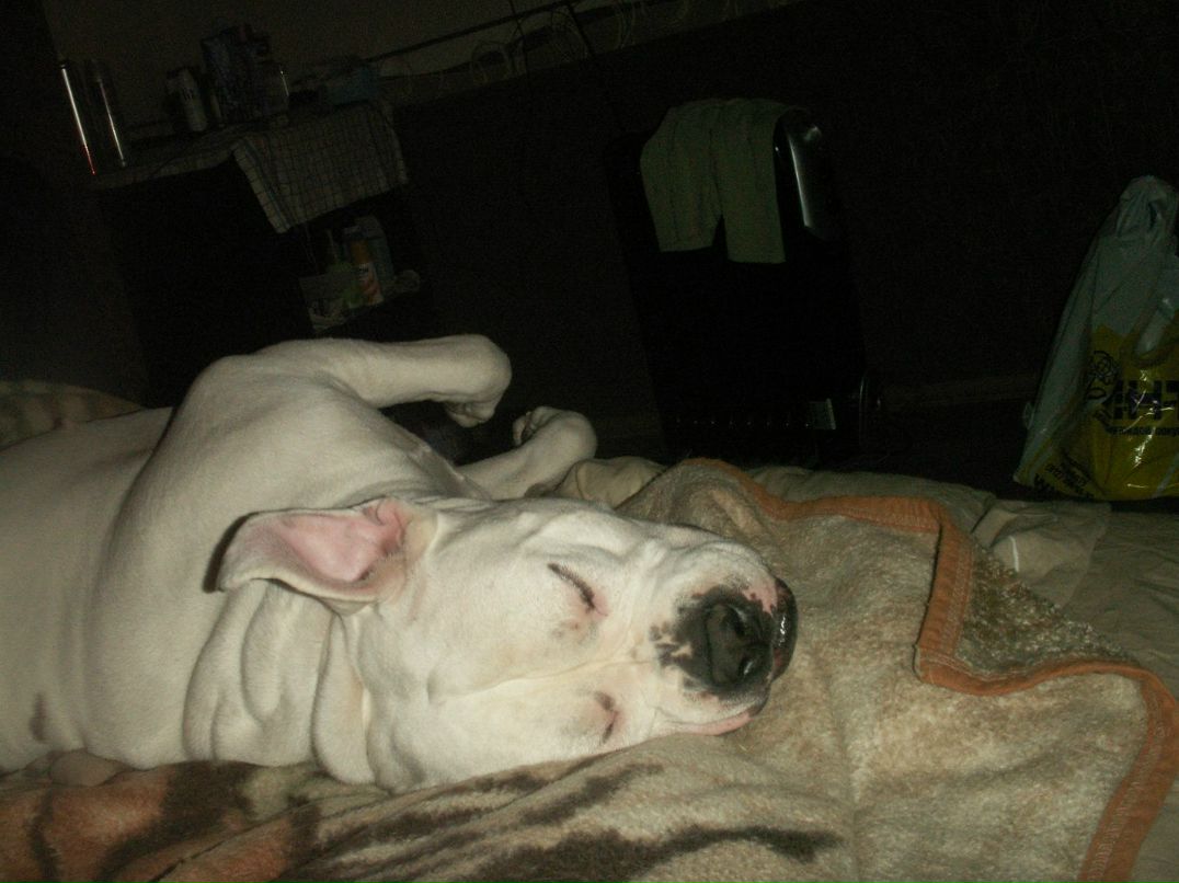 Артур Сулейманов | Санкт-Петербург