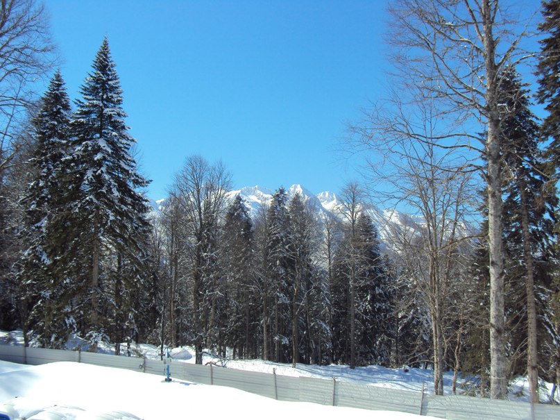 Сергей Ротнов | Скопин