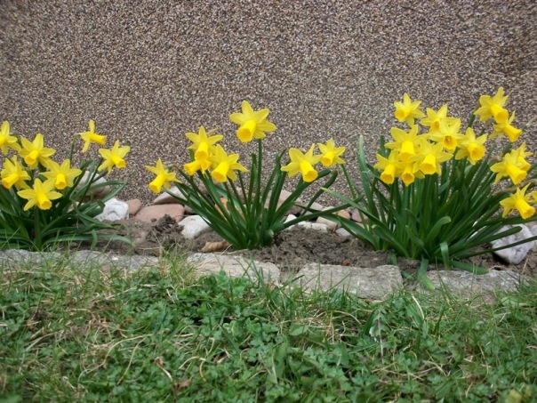 №3, Ольга Быкова №3, Ольга Быкова