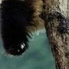 №23 Светлана Елынина 23.02: профиль, фото, статус - ВКонтакте