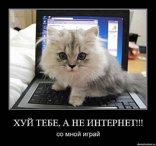 №102, Николай Гурьянов, 38 лет, Тереньга №102, Николай Гурьянов, 38 лет, Тереньга