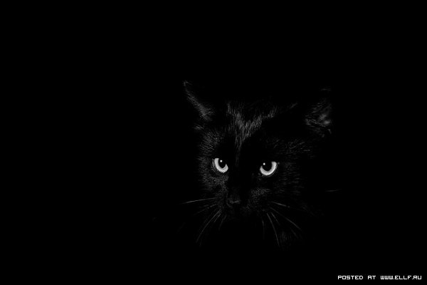 Оля Сальник | Солоницевка