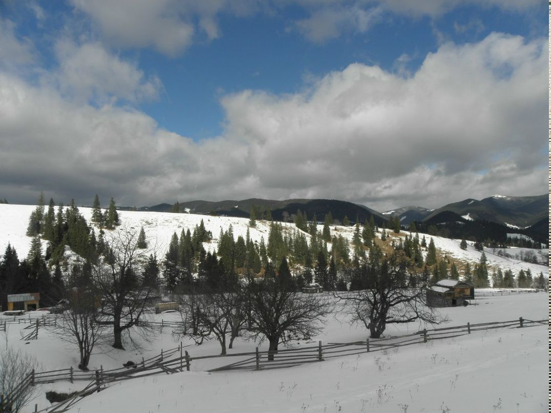 Зеня Барбариска | Тернополь