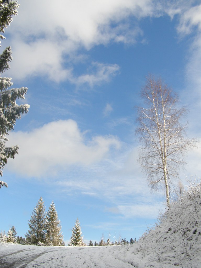 Анна Кухар (Герець) | Ивано-Франковск