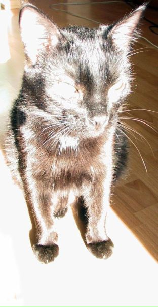 №171, Анастасия Горячёва №171, Анастасия Горячёва