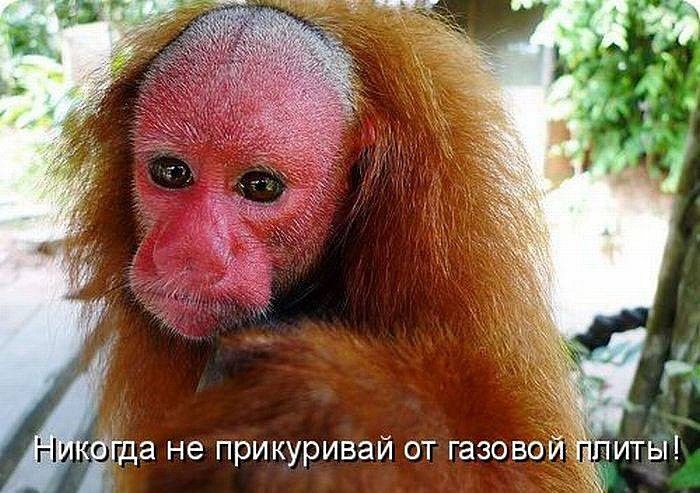 Светлана Кадырова | Уфа