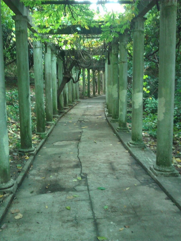 Александр Прокопенко | Сочи