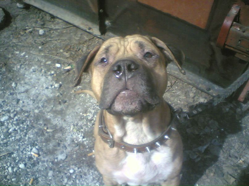 BIGGI#1 BIGGI#1 | Донецк