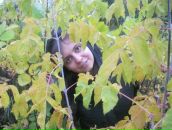 №17 Наталья Шахназарова 16.01.1986: профиль, фото, статус - ВКонтакте