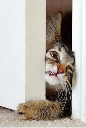 Дмитрий Олегович | 