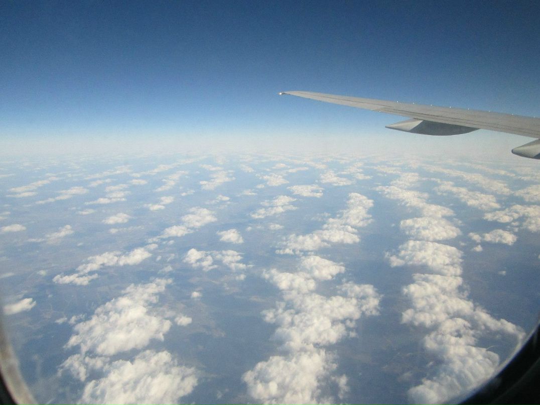 Дима Симонов | Москва