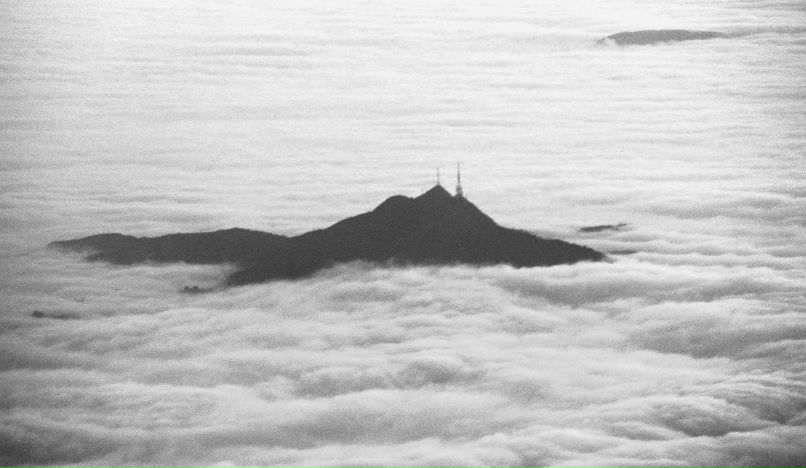 Никита Живин Игоревич | Екатеринбург