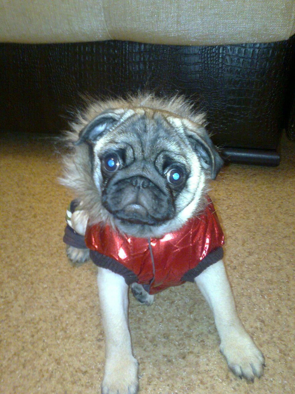 Юлия Прянишникова | Дзержинск