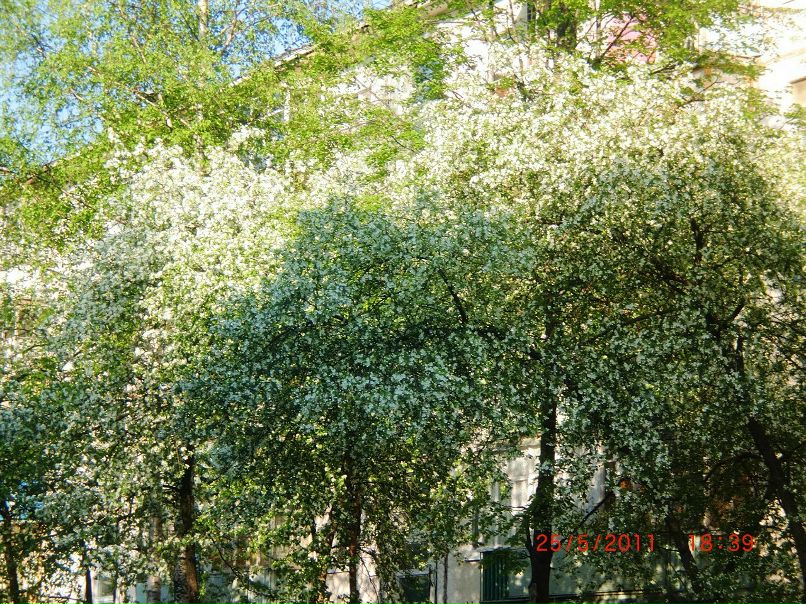 Наталья Максимова | Ижевск