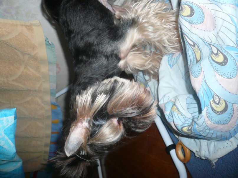 Лилия Пимонова | Липецк