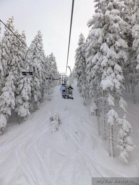 Наталия Заверткина | Екатеринбург