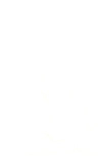 Акселей Говолкин | 