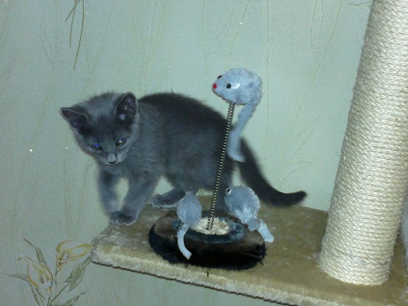 Ана Мммммммммммм | Запорожье