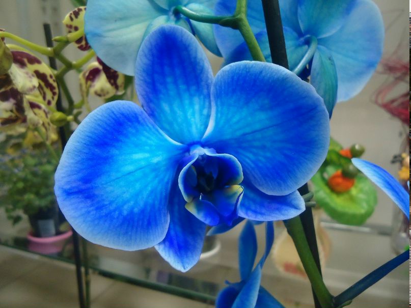 Даня Ктотакая | Мурманск