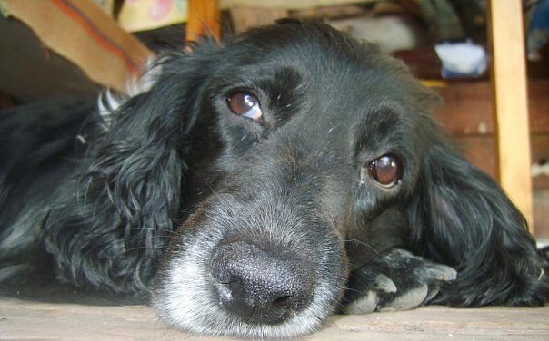 Ирина Жолобова | Челябинск