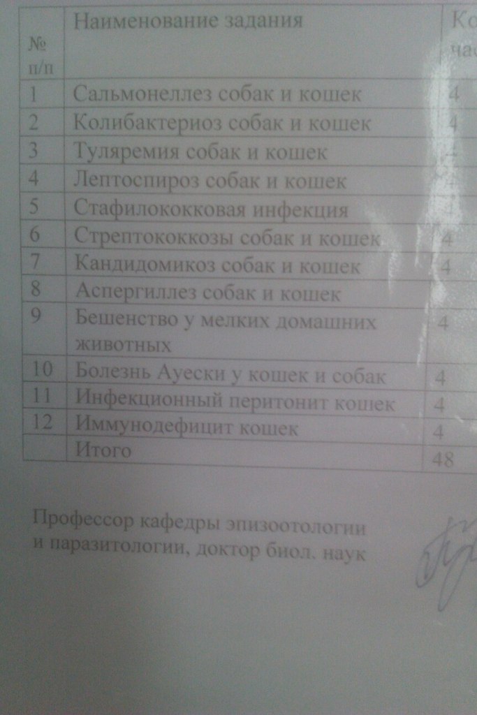 Анастасия Белавина | Красноярск