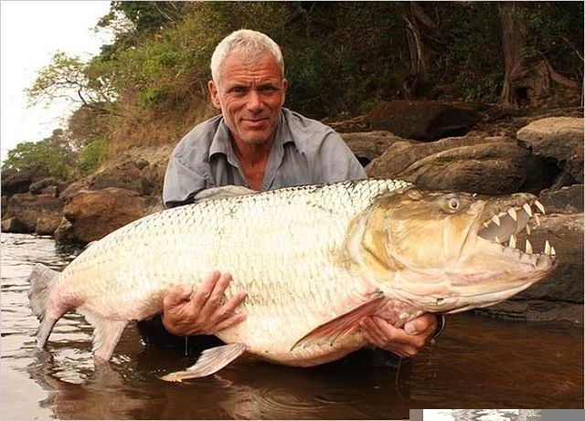Александр Украинцев | Старобельск