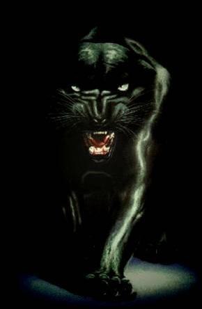 Мама Наглого-Ребенка Настюхи Gothi4k@ | Москва