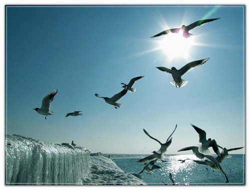 Надежда Крутолапова(Бурлуцкая) | Междуреченск