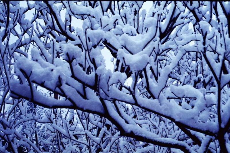 Сабина Бровист | Ростов-на-Дону