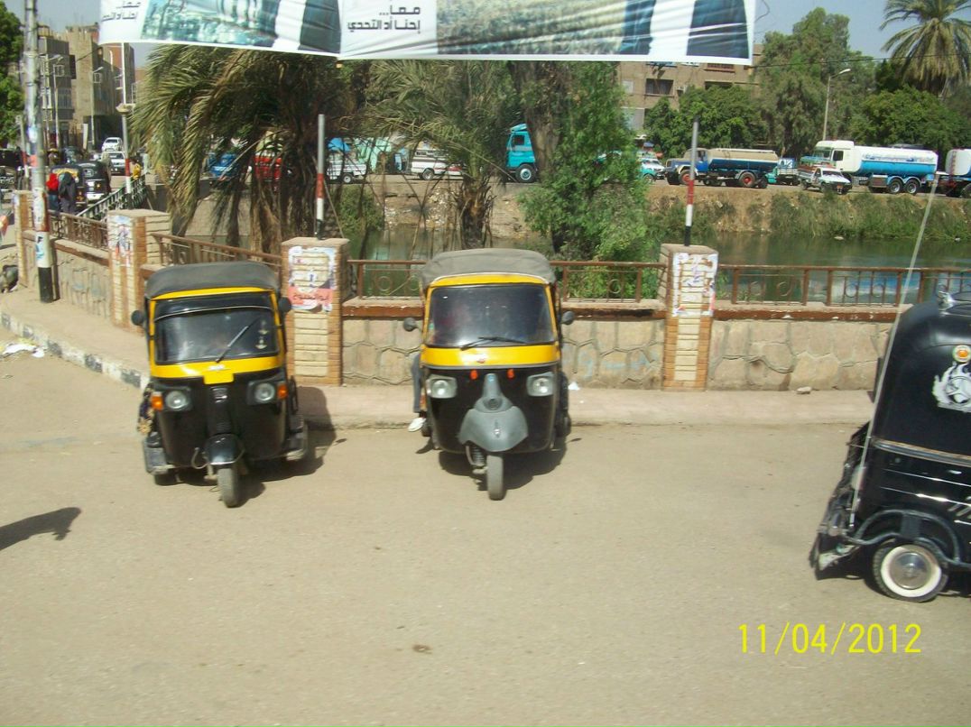 Олеся Срибная | Киев