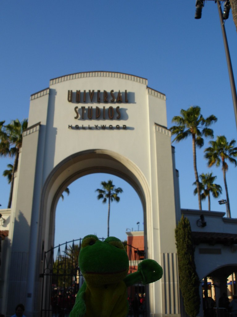 Лягуха Зырящая | Санкт-Петербург