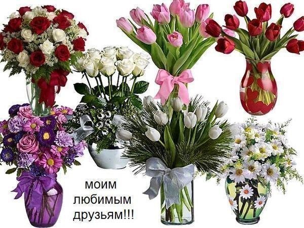 Алексей Степанов | Чехов