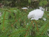 №34 Василий Михаилов 30.04.1961: профиль, фото, статус - ВКонтакте