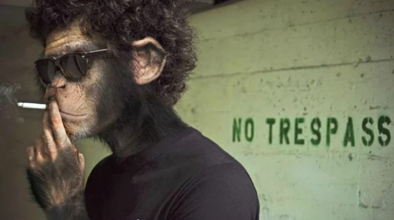 Кирилл Кириллов | 