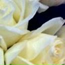 Альбина Гильманова | Уфа