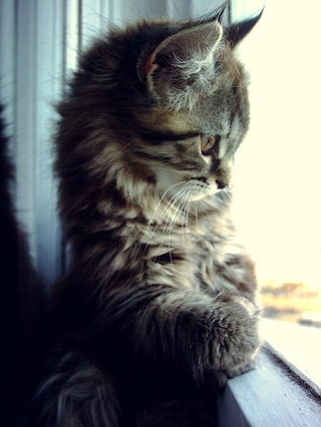 №32, Глеб Радайкин, 27 лет, Саранск №32, Глеб Радайкин, 27 лет, Саранск