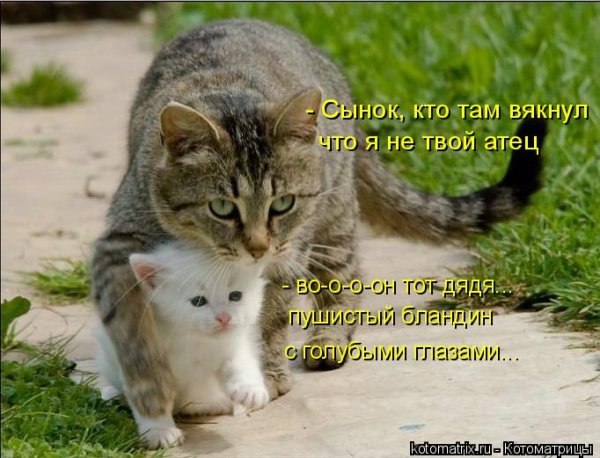 Ната Машинцева | Ростов-на-Дону