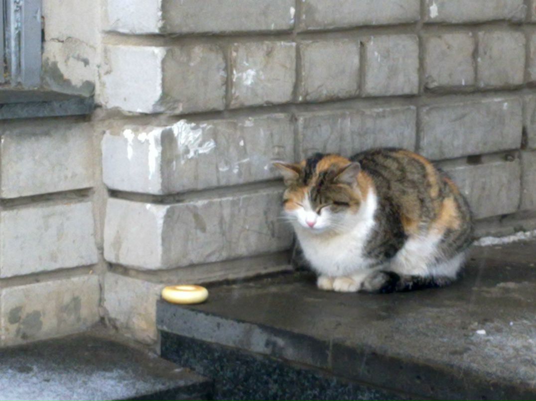 Ксения Туева | Ижевск