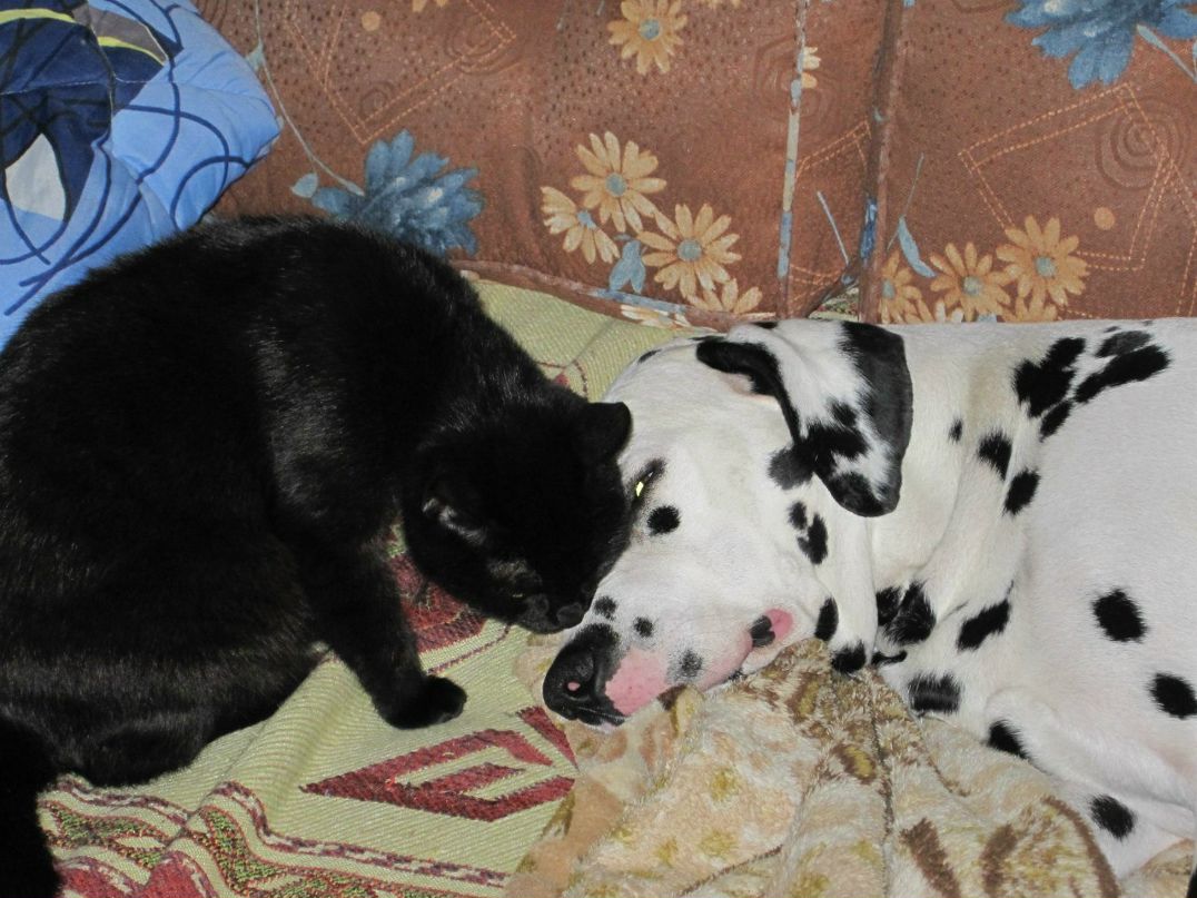 Екатерина Кособокова | Реутов