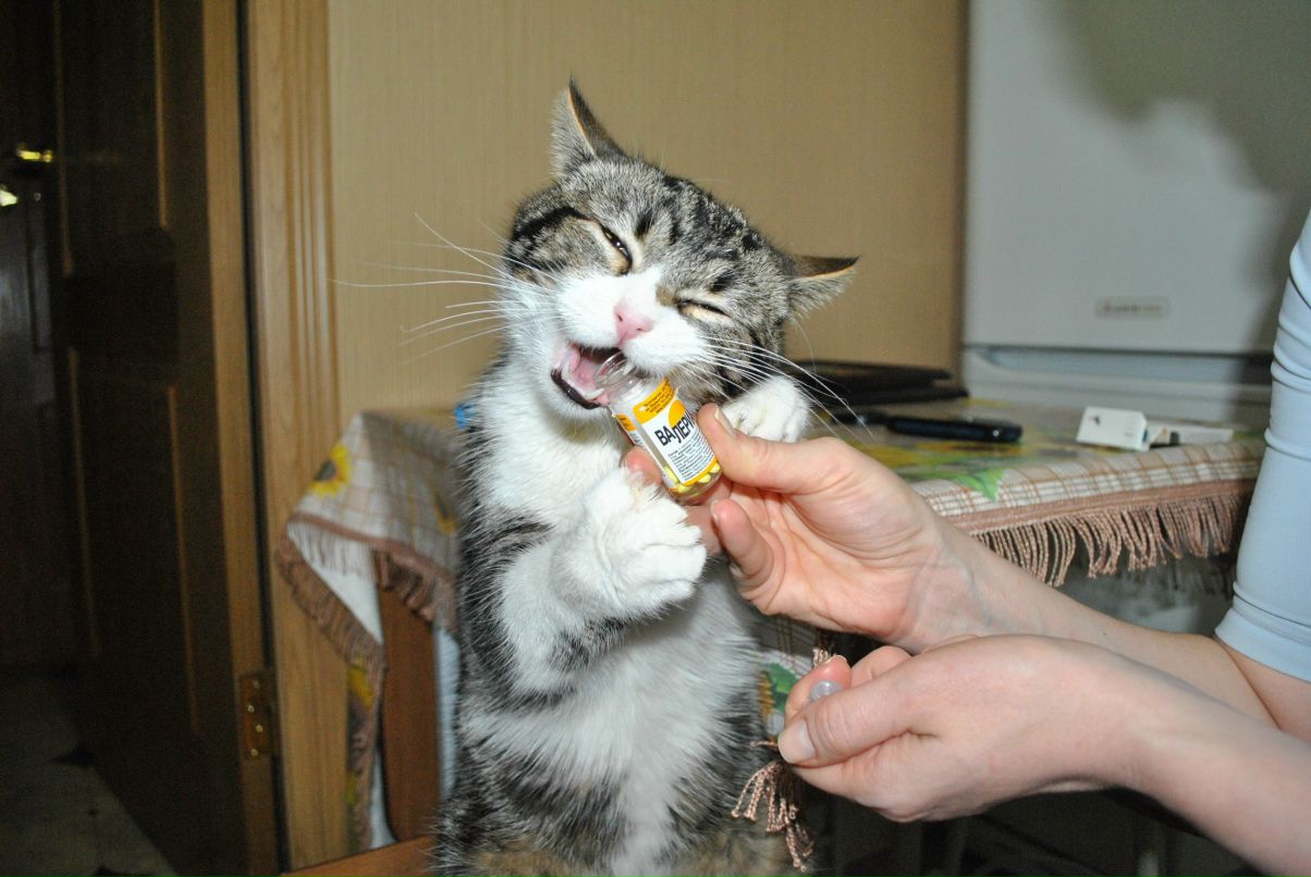 Екатерина Окопний | Ростов-на-Дону