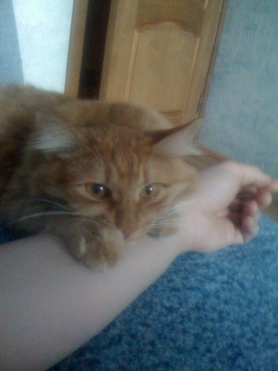 Ксюшенька Морозова | Казань