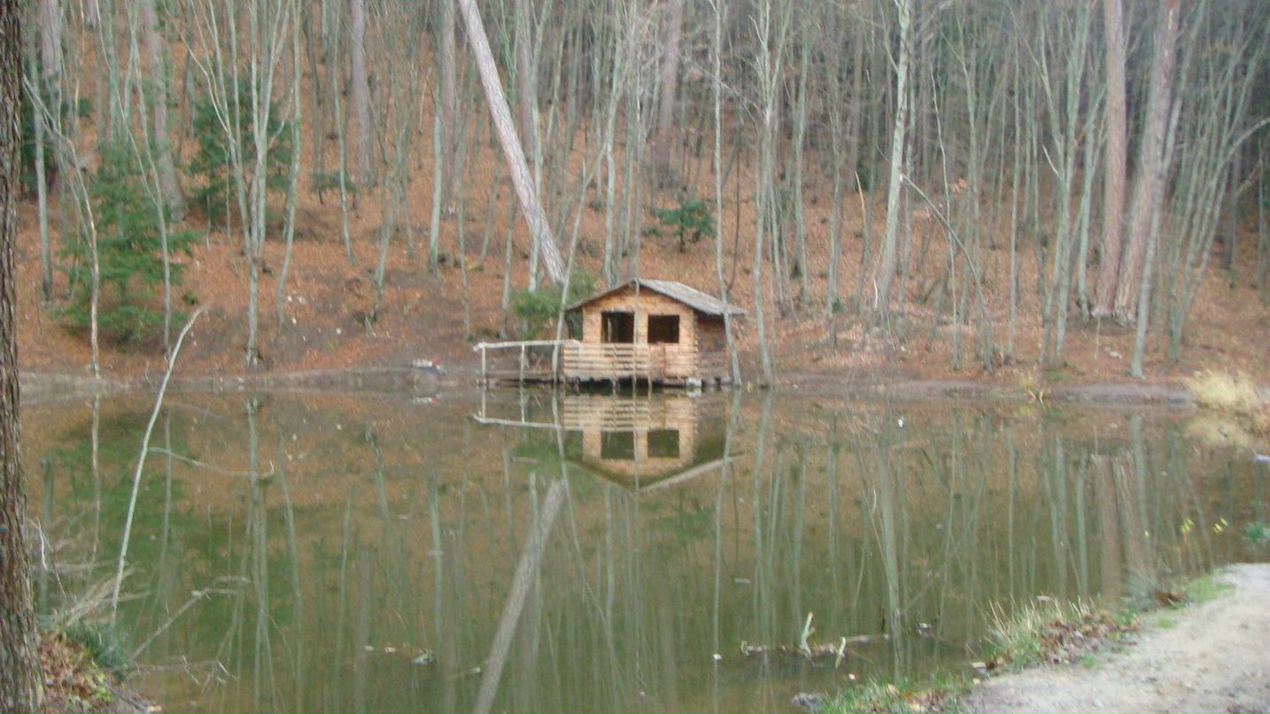 Владимир Еременко | Каменское / Днепродзержинск