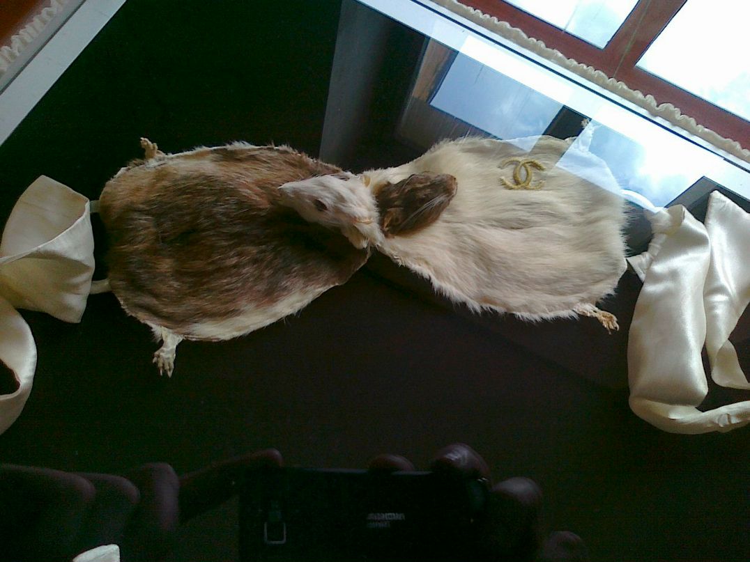 Максим Алпатов | Самара