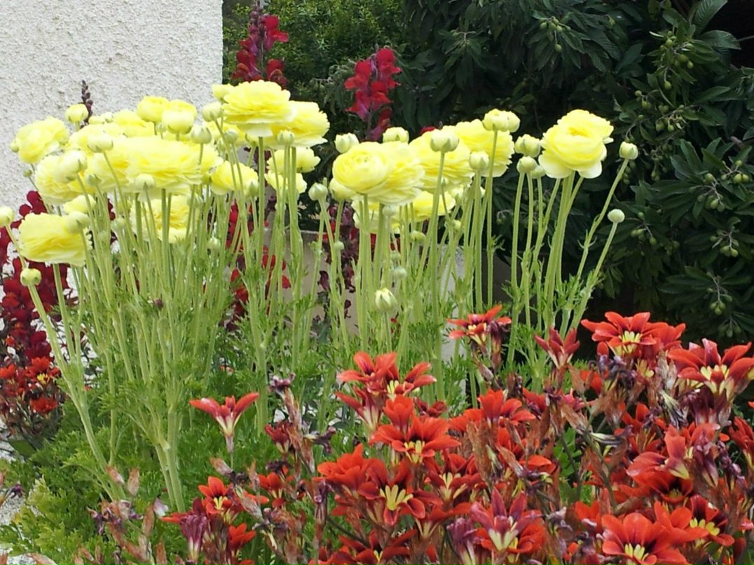 Кристина Ламбина | Limassol