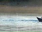 Людмила Улянюк | 