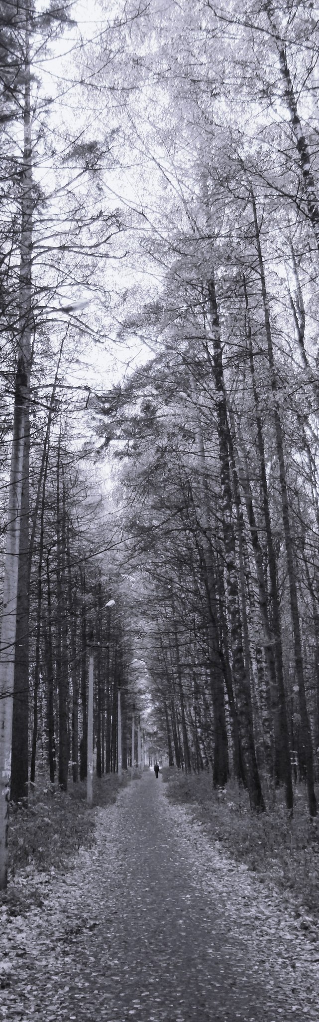 Александр Емельянов | Москва