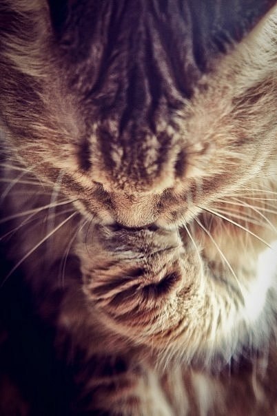 Евгений Беляев ♪ЛириК♫ | Москва